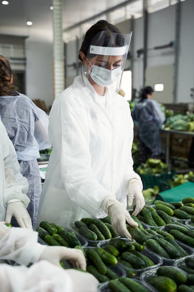 Female workers arranging vegetables in plastic trays